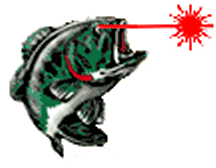 seabass3.gif (13648 bytes)