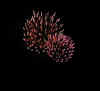Worms_medium.jpg (25848 bytes)