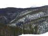 Landscape3_Medium.JPG (87008 bytes)