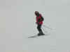 ScottSkiing_Medium.JPG (19696 bytes)
